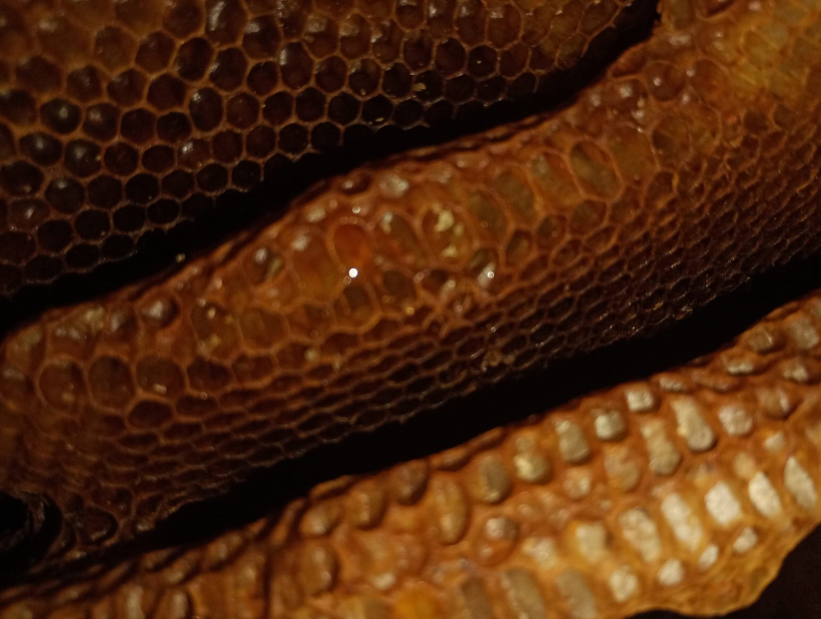 Velas de Cera de Abeja Estampado Hexágonos - Image 3