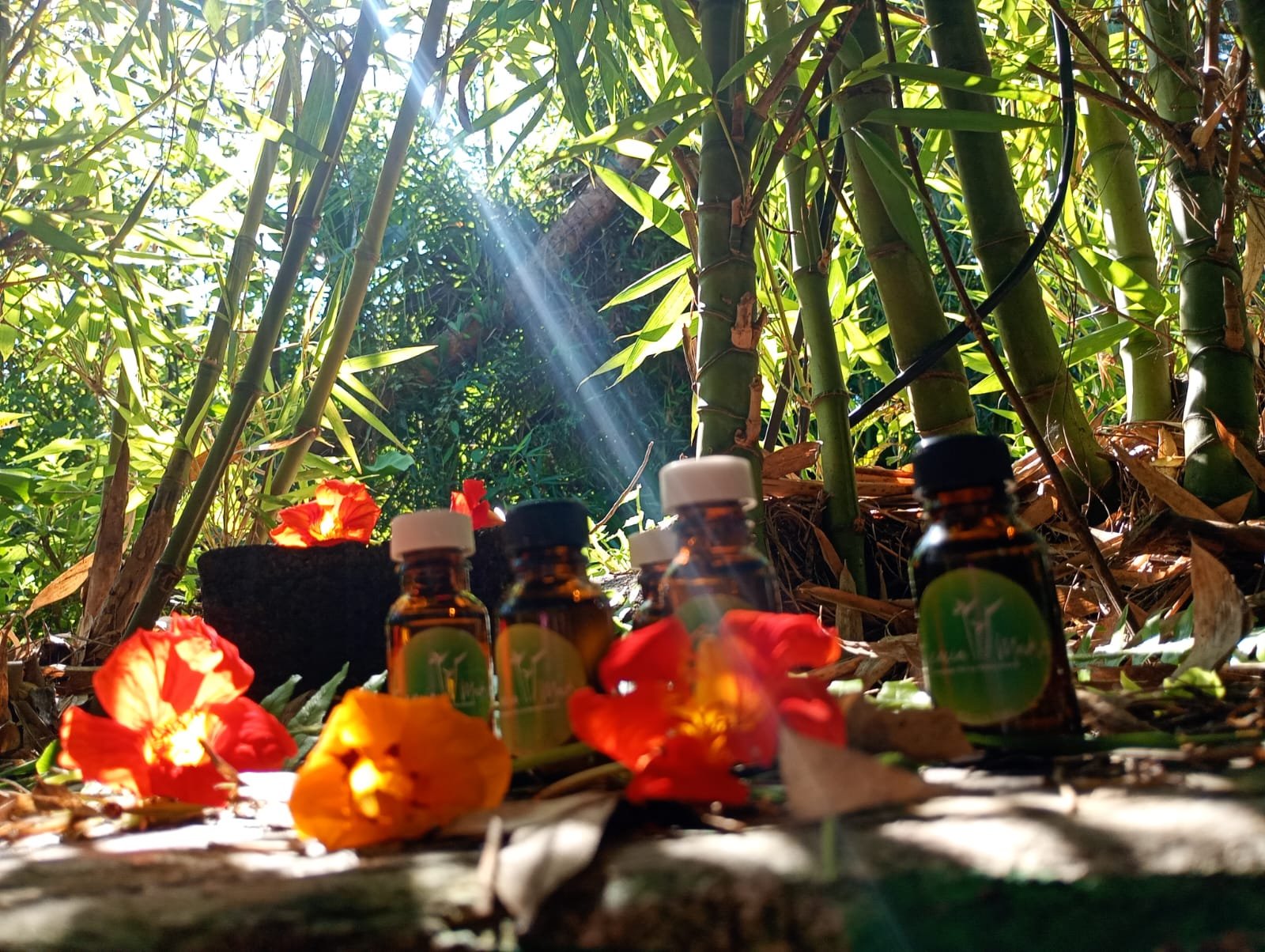 Esencia de Vainilla - Image 2