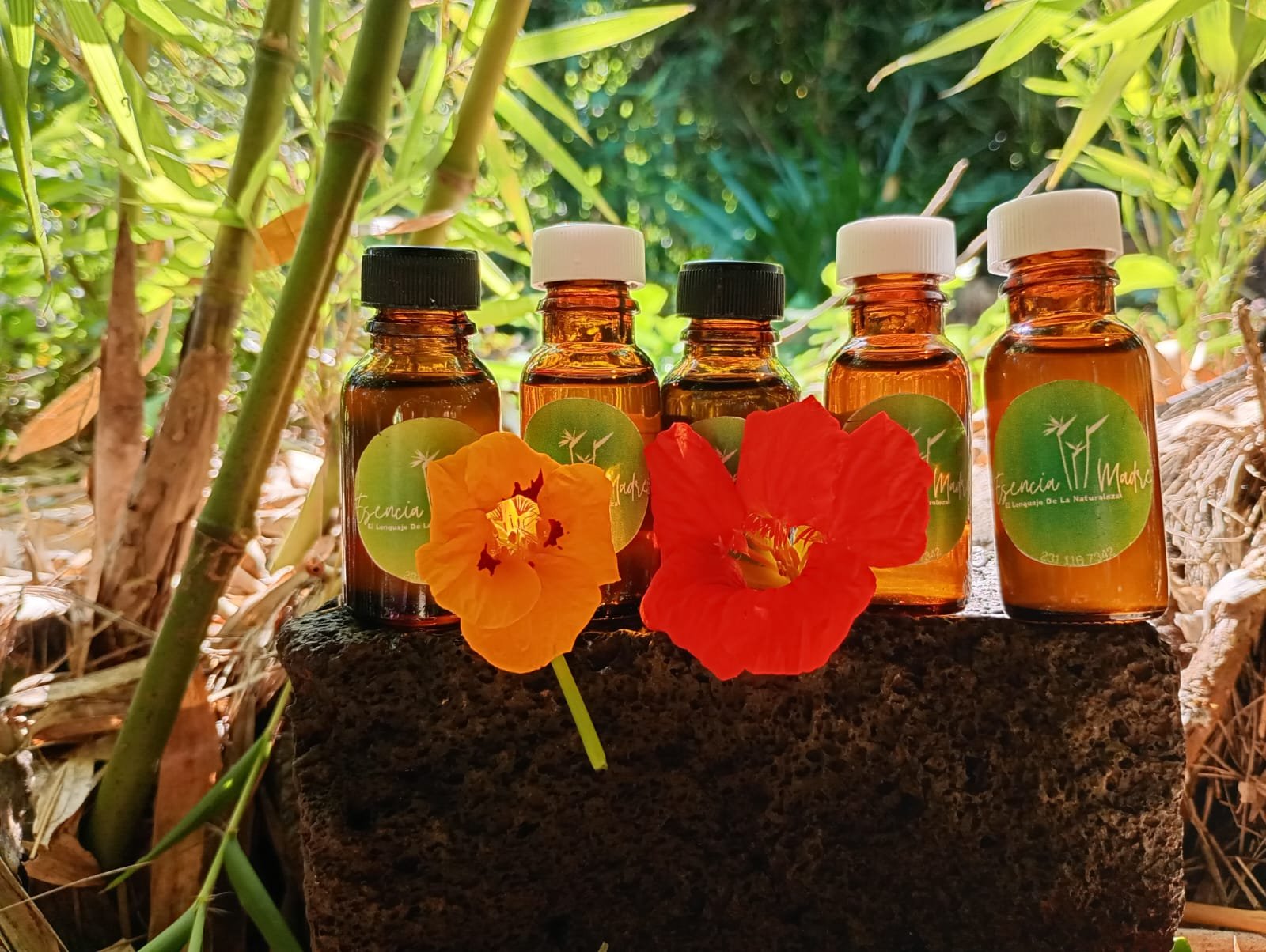 Esencia de Vainilla - Image 3