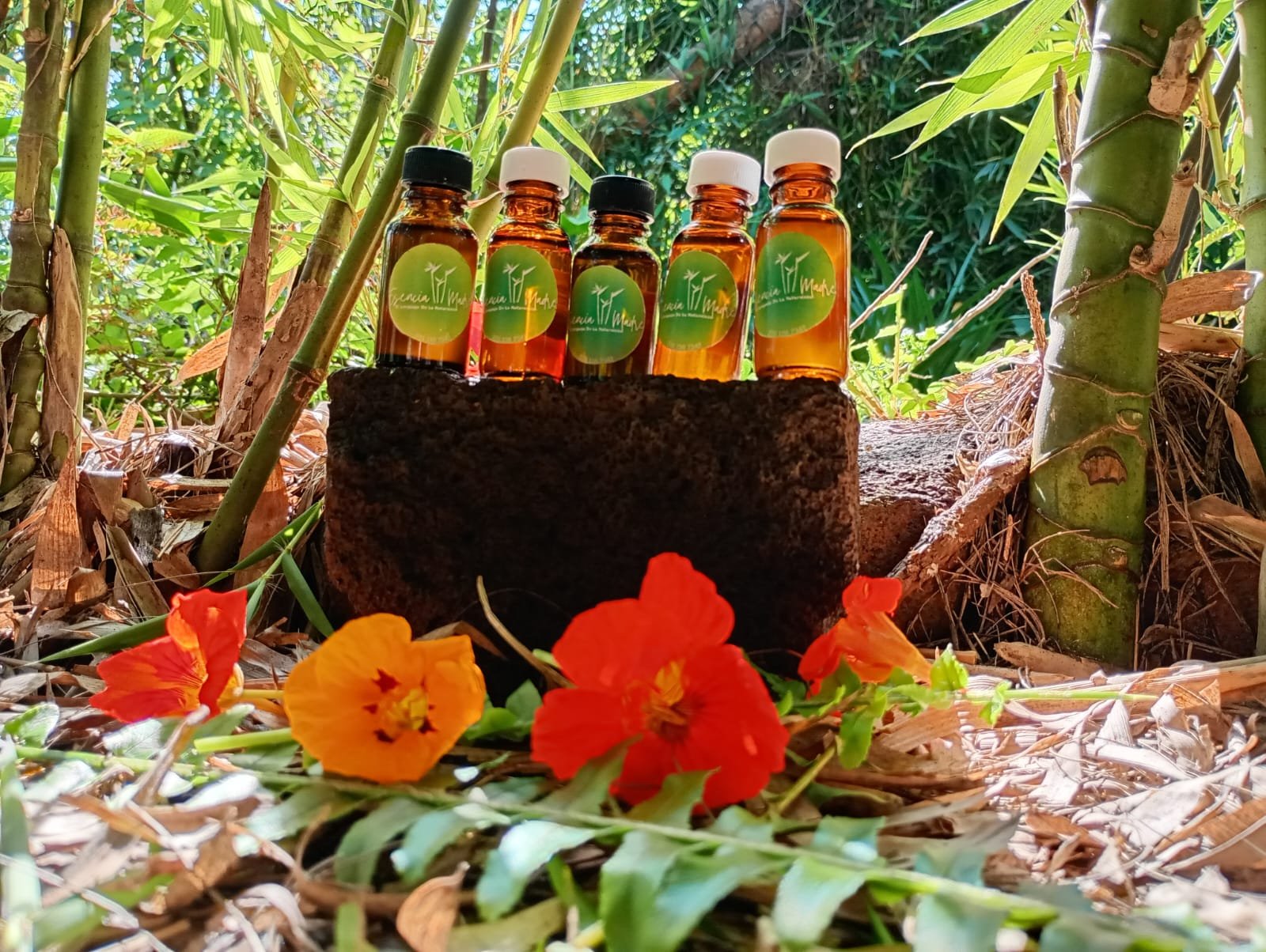 Aceites Esenciales Menta - Image 3