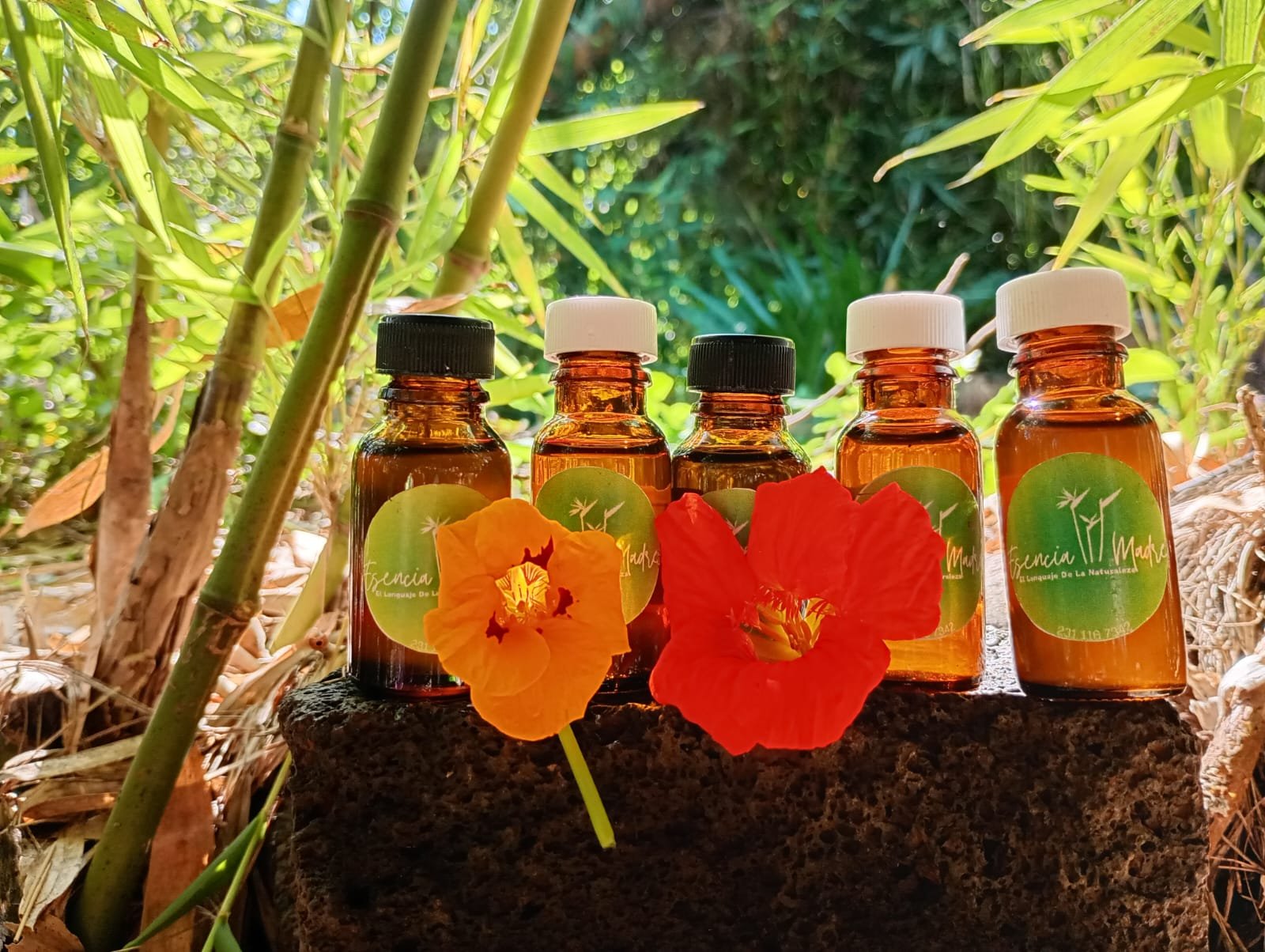 Aceites Esenciales Orégano - Image 2