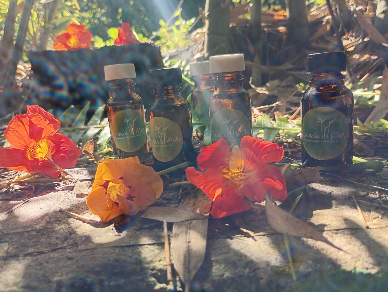 Aceites Esenciales Orégano - Image 3