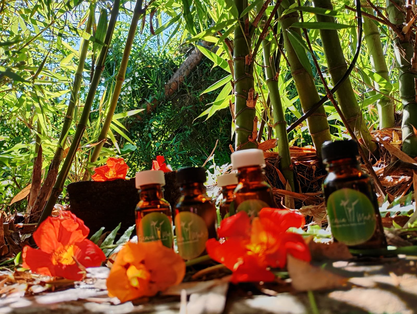 Aceites Esenciales Romero - Image 3