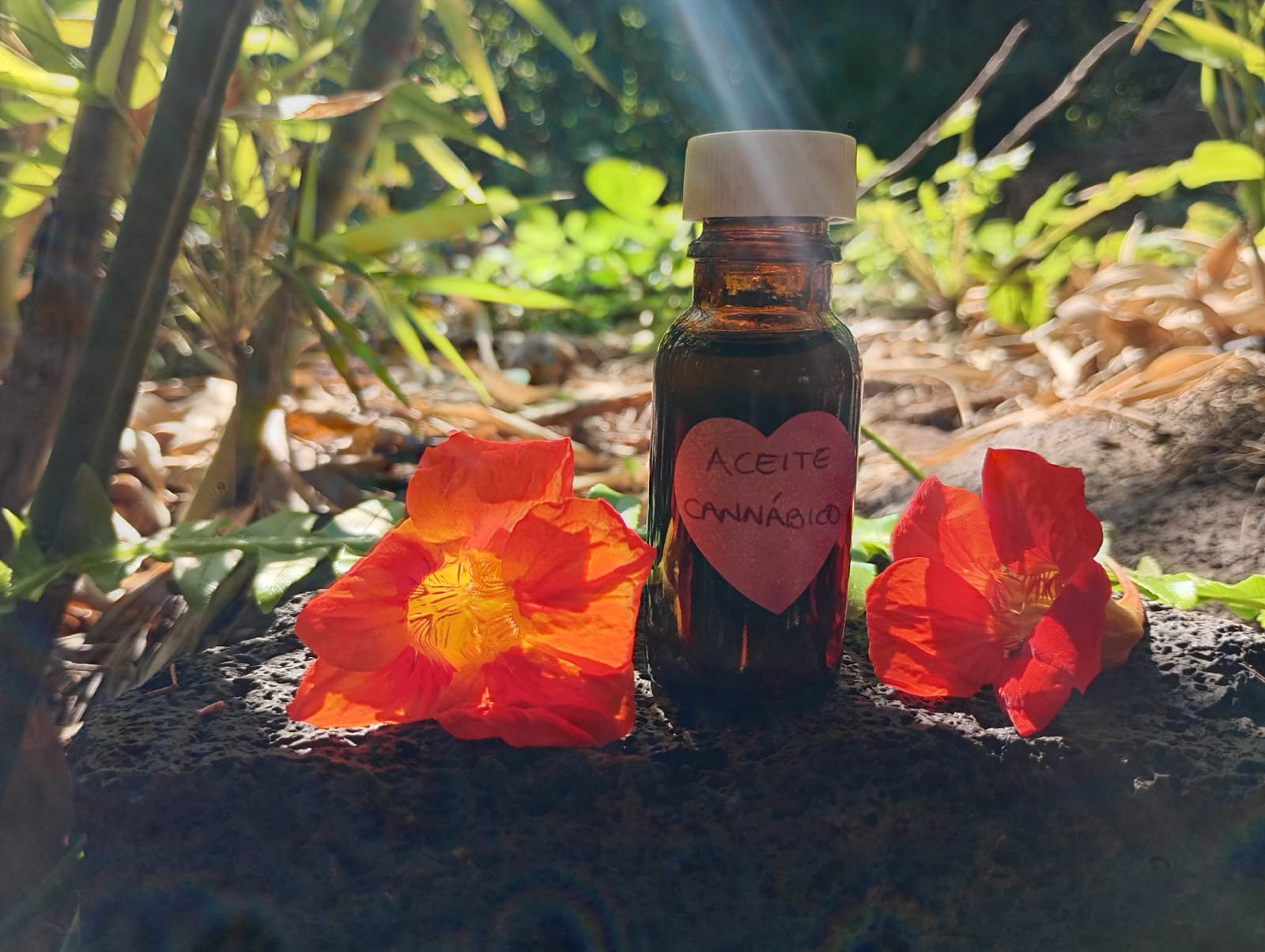 Aceite Esencial Cannabico