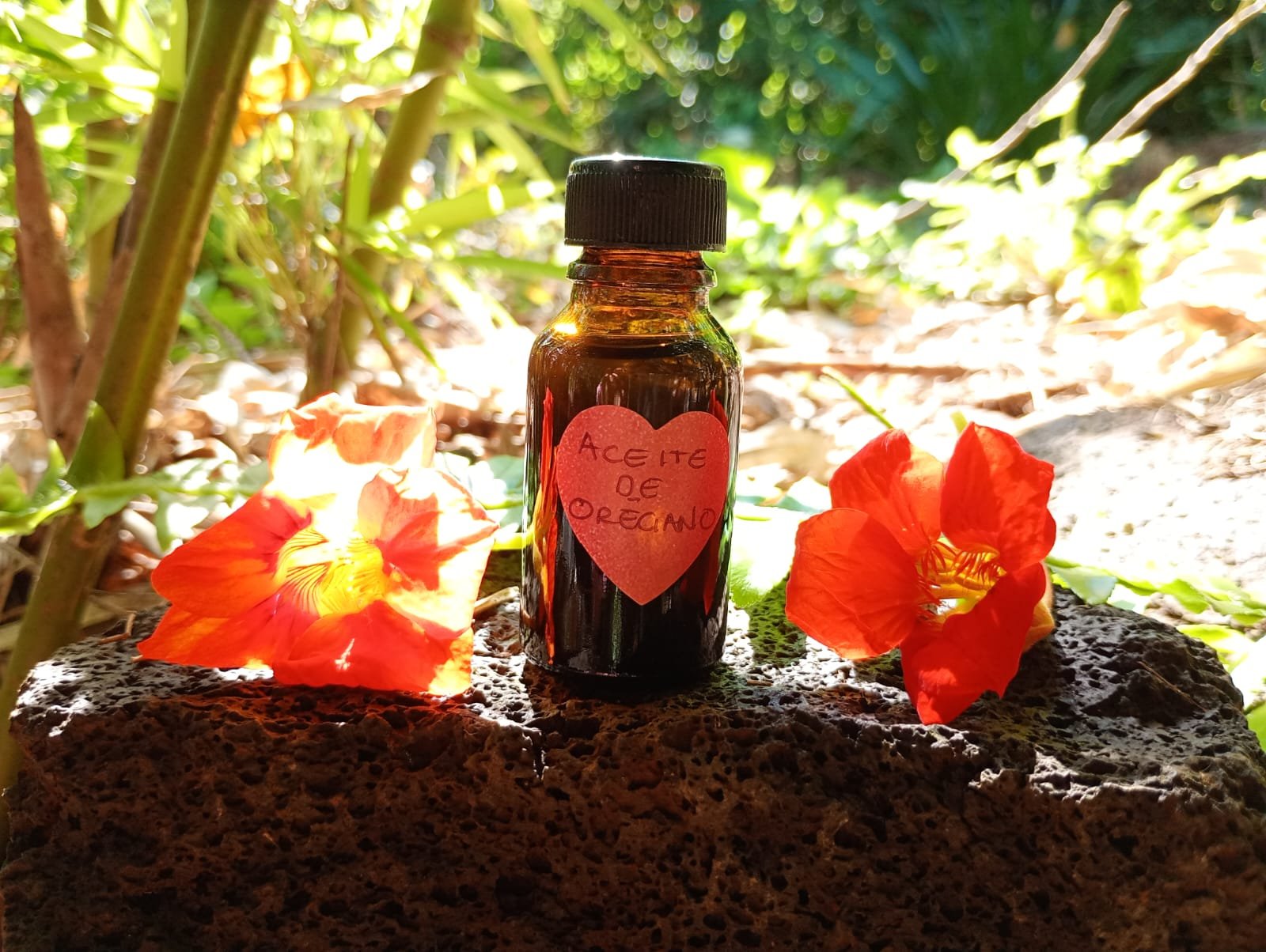 Aceites Esenciales Orégano