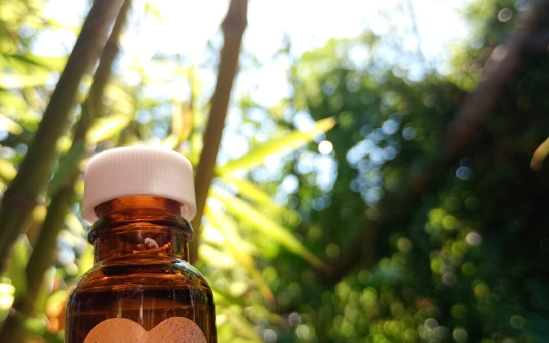 El secreto para vencer el insomnio: La magia de la Lavanda Lunar de Teziutlán