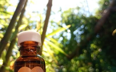 El secreto para vencer el insomnio: La magia de la Lavanda Lunar de Teziutlán