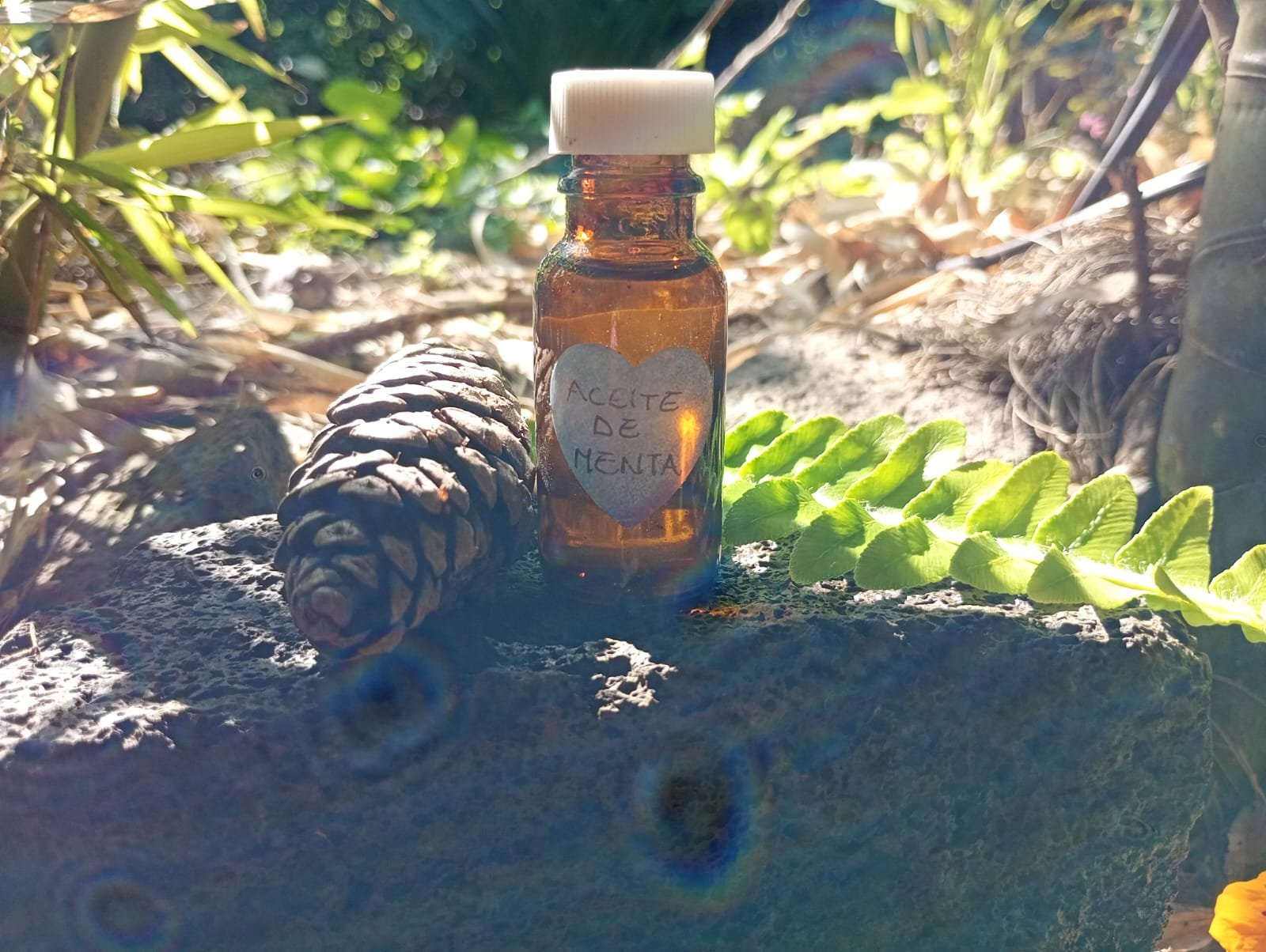 Aceites Esenciales Menta