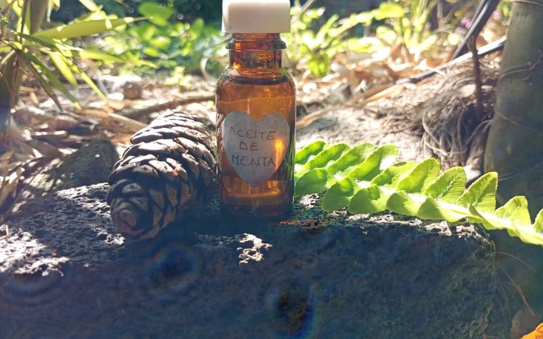 Adiós a la fatiga mental: Cómo el Aceite de Menta de Teziutlán renueva tu energía natural