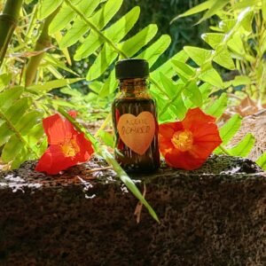 Aceites Esenciales Romero