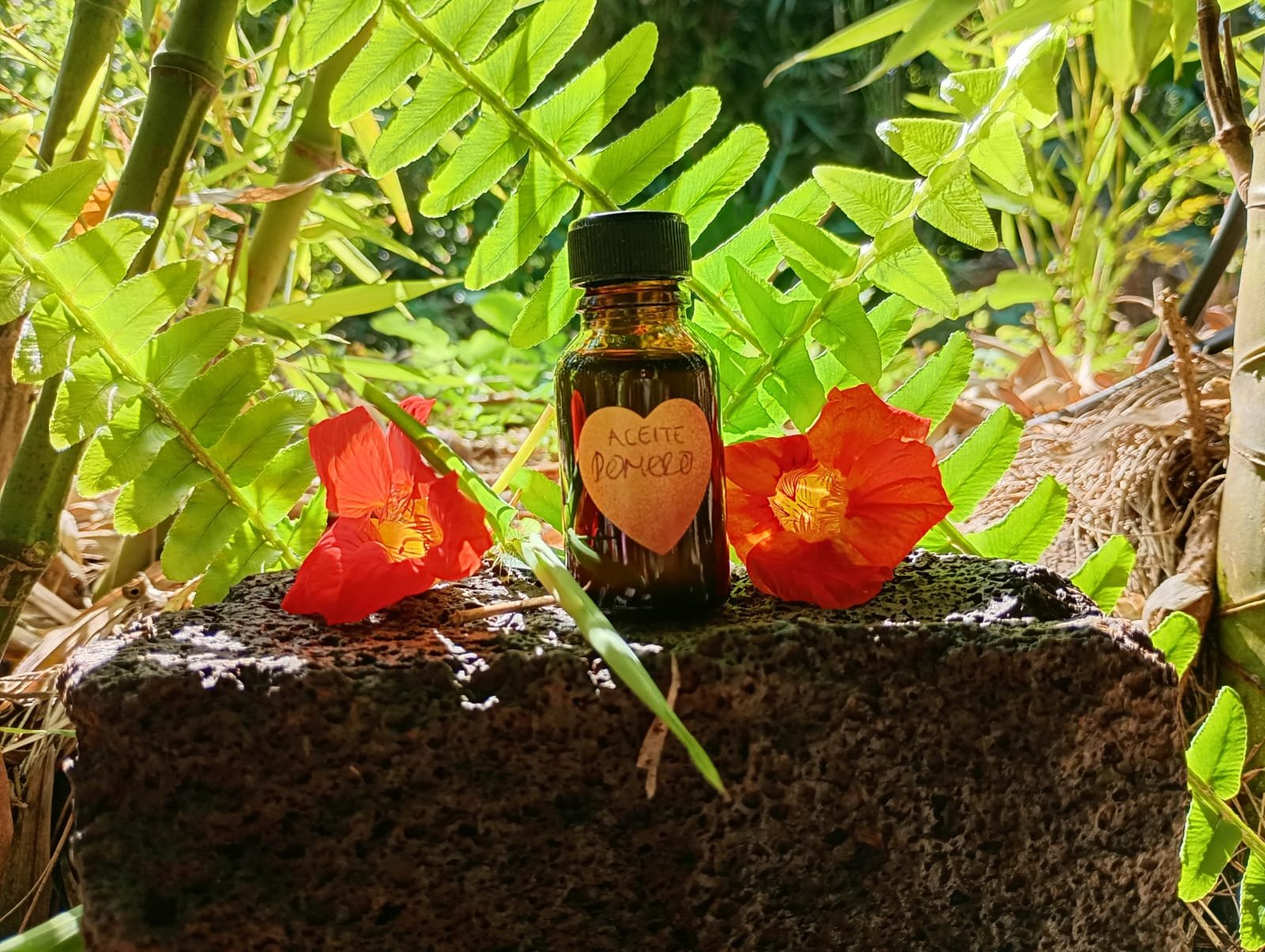 Aceites Esenciales Romero