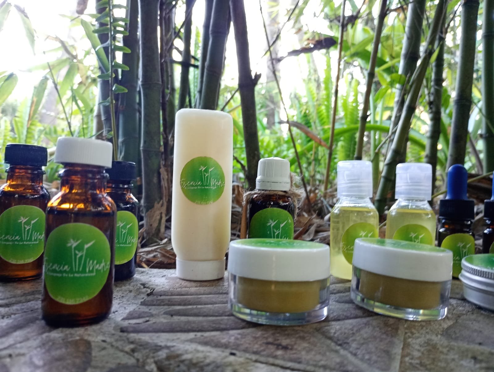 Imagen de WhatsApp 2025-11-25 a las 11.57.57_18171dcc